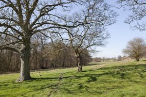 Hardwick Hall 4 sm.jpg